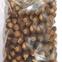 REETHA Seed-image-32