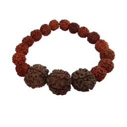 Divine souvenirs Unisex Artificial Beaded Rudhraksh Elasticated Bracelet-54