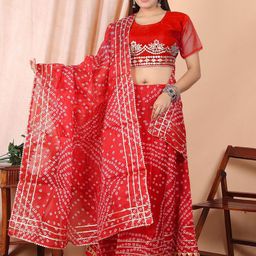 Vvlpf Women Ready to Wear Lehenga & Unstitched Blouse With Dupatta-picture-47