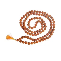 Divine souvenirs Brown Alloy Necklace-28