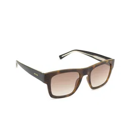 OPIUM Men Brown Plastic Wayfarer Sunglasses with UV Protected Lens OP-10267-C02-52-image-85