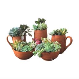 The handicraftian 5 Pc Brown Coffee Mug Planters Set-53