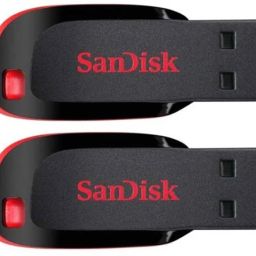 SanDisk Cruzer Blade Pack of 2 16 GB Pen Drive Compatible with Desktop Computer, Television, Laptop USB 2.0 Plastic Case-17