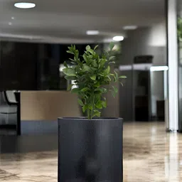 Go Hooked Black Tube Planters-48