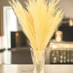 Akaar Beige 4 Pieces Grass Artificial Plant-picture-42