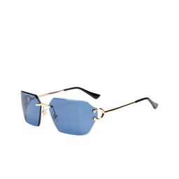 Ted Smith Unisex Rectangle Sunglasses With UV Protected Lens CAELAN_C4- image 3