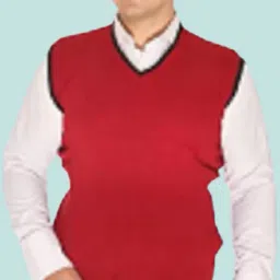 Men Solid V Neck Maroon Sweater-image-10