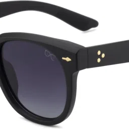 Others Wayfarer Sunglasses (53)-picture-22