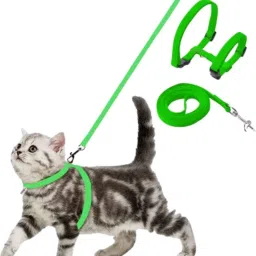 Cat Buckle Harness-image-59