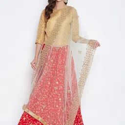 Clora Creation Women Gold-Toned Floral Embroidered Net Dupatta-picture-28