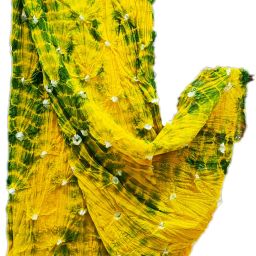 Pure Cotton Printed Multicolor Women Dupatta-image-77