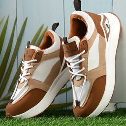 Rowlans Women Colourblocked Lace-Ups Round Toe Sneakers-image-26