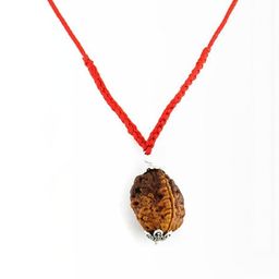 RAVIOUR LIFESTYLE Unisex Brown Pendant-image-62
