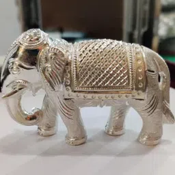 ASTRO-D Unisex Silver Showpieces-picture-49