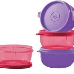 Tropical Twins Lunch Box 4 Containers Lunch Box-image-29
