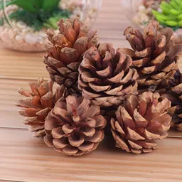 Ascension 6-Pcs Brown Natural Pine Wooden Cones-0
