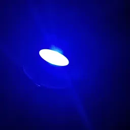 2W DOB SPOT BLUE LIGHT Ceiling Light Ceiling Lamp-14