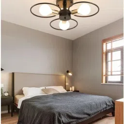 delbay Chandelier Ceiling Lamp image 2