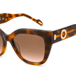 Gradient Butterfly Sunglasses (53)-image-22