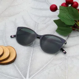Polarized Cat-eye Sunglasses (52)-image-56