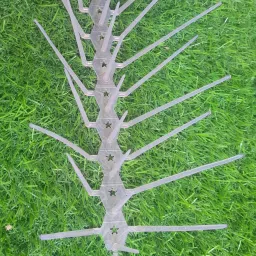 Bird Spike-picture-22