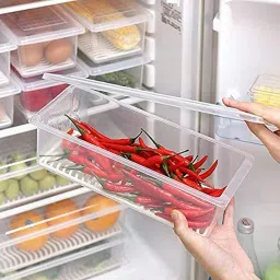 Plastic Fridge Container- 1500 ml-24