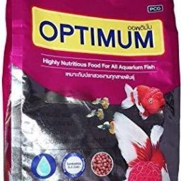 Optimum Nutritious Aquatic Fish Food Small Pellet Fish 0.5 kg Dry Young, Adult, Senior Fish Food-20