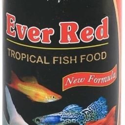 Ever Red Tropical 0.22 kg Dry Young, Adult, Senior Fish Food-image-60