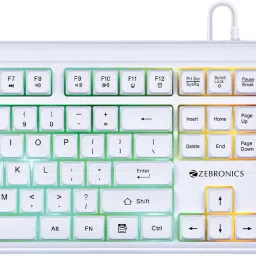 ZEBRONICS ZEB-KKB 3 Wired USB Standard Desktop Keyboard Compatible with Desktop, Laptop, Mac Easy to Use,Plug and Play,Quick, Comfy Durable body-21