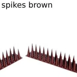 Bird Spike-16