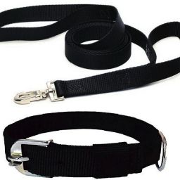 Belts (Waterproof, Medium, Leash Size 1.5M-2M) Dog Collar & Leash-image-90