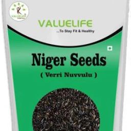 Niger Seeds Seed-image-19