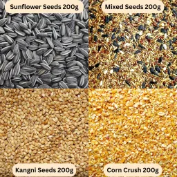 4 in 1 Bird Food Combo, Sunflower Seed, Mixed Seed, Corn, Kangni Seed Nuts 0.8 kg Dry Adult, Young, Senior, New Born Bird Food-12