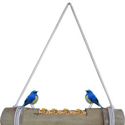 Bird Feeder for made Bamboo/caged bird (Pack of 1) (Green to Pale Yellow) Caged Bird Feeder-image-1