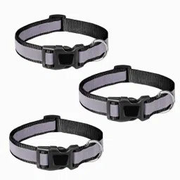 Dogs Nylon Reflective Street Dogs Night Visibilty Collars 25mm pack of 3 Dog Everyday Collar-28
