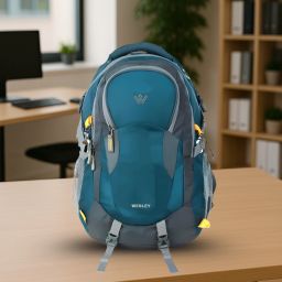 Large 45 L Laptop Backpack Unisex Travel Rucksack hiking laptop bag fits upto 17.3 inch with Raincover and internal organiser backpack Rucksack College bag 45 L Laptop Backpack-image-67