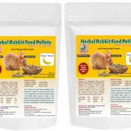 Banana Flavour Rabbit Feed pellets, ISO(9001-2015) certified Rabbit 1 kg Dry New Born Rabbit Food-image-42