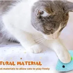 prateek Kitten Interactive Toy Chewing Biting Chasing Activity Exercise Small for Cat Microfibre Plush Toy For Cat image 4
