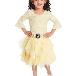 Peppermint Girls Floral Self Design Net Bell Sleeves Knee Length Fit & Flare Dress-picture-21