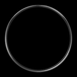 Carl Zeiss T* 55mm Camera Lens Polarizer Filter (Anti Reflective Coating)-picture-28