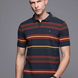 louis philippe Men Striped Polo Neck Pure Cotton Multicolor T-Shirt-picture-27