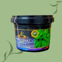 Premium Herbal MInt Hookah Flavor-picture-24