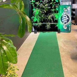 Green Cotton Carpet-image-14