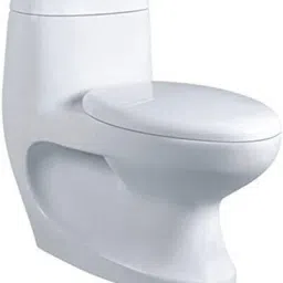 807 P W Platinum Western Toilet/Water Closet/Commode With Soft Close Toilet Seat Ceramic Floor Mounted One Piece Western Commode / Toilet / Water Closet / EWC Cally Western Commode-16