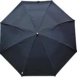 2 Fold Auto Open Black Color_ 400138_B Umbrella-picture-15