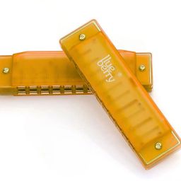 R-1011, Key C | 10 Holes|20Tones| Blues Harp Educational Mouth Organ Harmonica-image-22