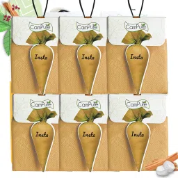 Insta Cone Sandalwood (Pack of 6) Room, Car, Air Freshener & Mosquito Repellent Potpourri-image-6