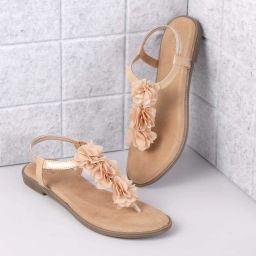 Women Flats Sandal-image-91