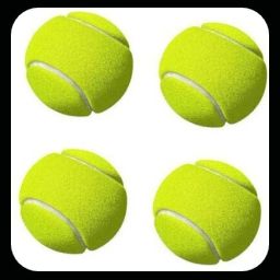 New-JS _313Pack of 6 Tennis Ball-image-98