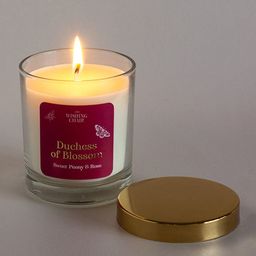 The Wishing Chair White Solid Duchess Of Blossom Soy Wax Scented Candle-13